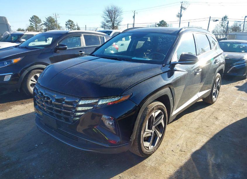 Photo 2 of 2024 Hyundai Tucson LIMITED (VIN 5NMJECDE8RH330950)
