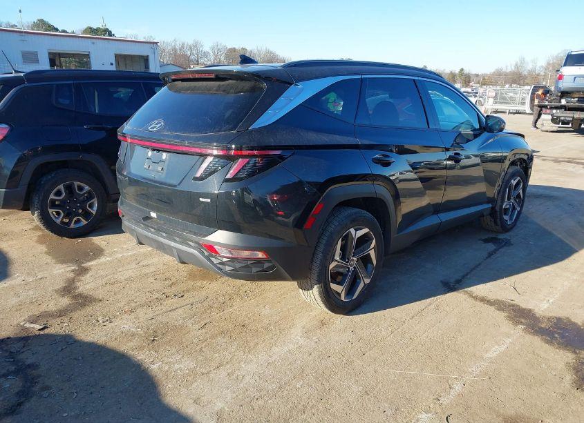 Photo 4 of 2024 Hyundai Tucson LIMITED (VIN 5NMJECDE8RH330950)
