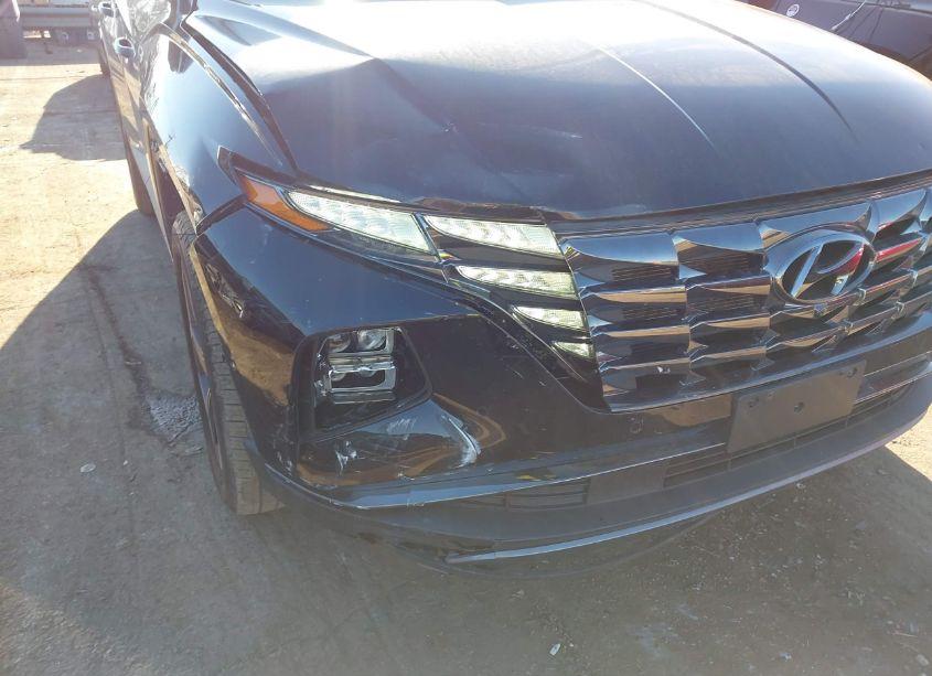 Photo 6 of 2024 Hyundai Tucson LIMITED (VIN 5NMJECDE8RH330950)
