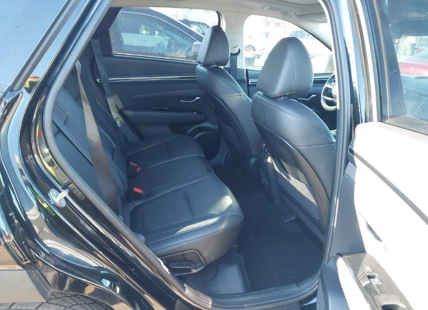 Photo 8 of 2024 Hyundai Tucson LIMITED (VIN 5NMJECDE8RH330950)