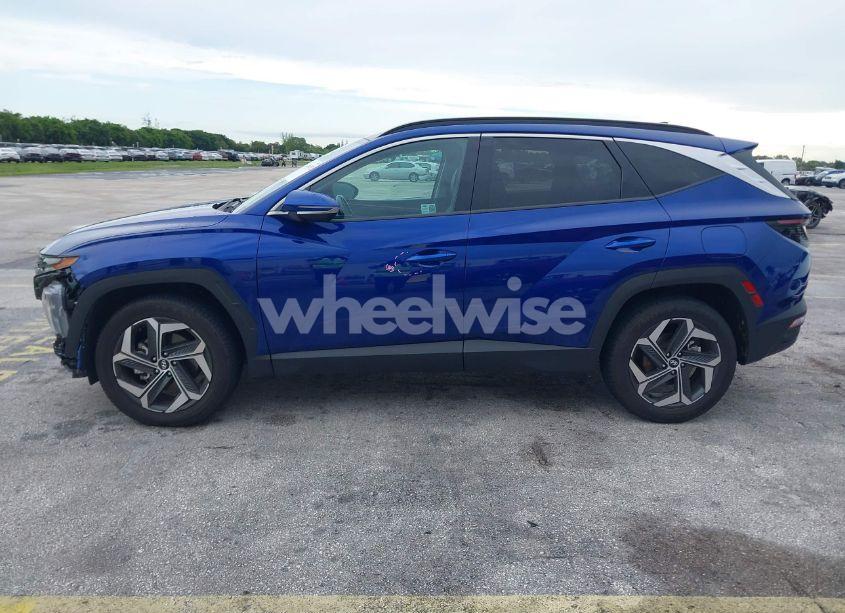 Photo 15 of 2024 Hyundai Tucson LIMITED (VIN 5NMJECDE8RH348302)