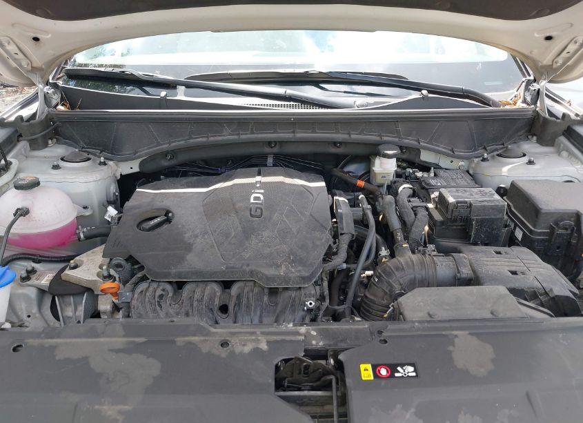 Photo 10 of 2024 Hyundai Tucson LIMITED (VIN 5NMJECDE9RH298235)