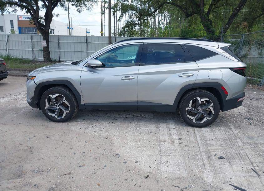 Photo 14 of 2024 Hyundai Tucson LIMITED (VIN 5NMJECDE9RH298235)