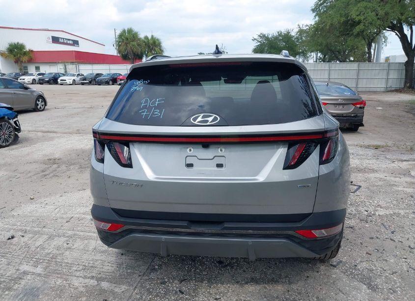 Photo 16 of 2024 Hyundai Tucson LIMITED (VIN 5NMJECDE9RH298235)