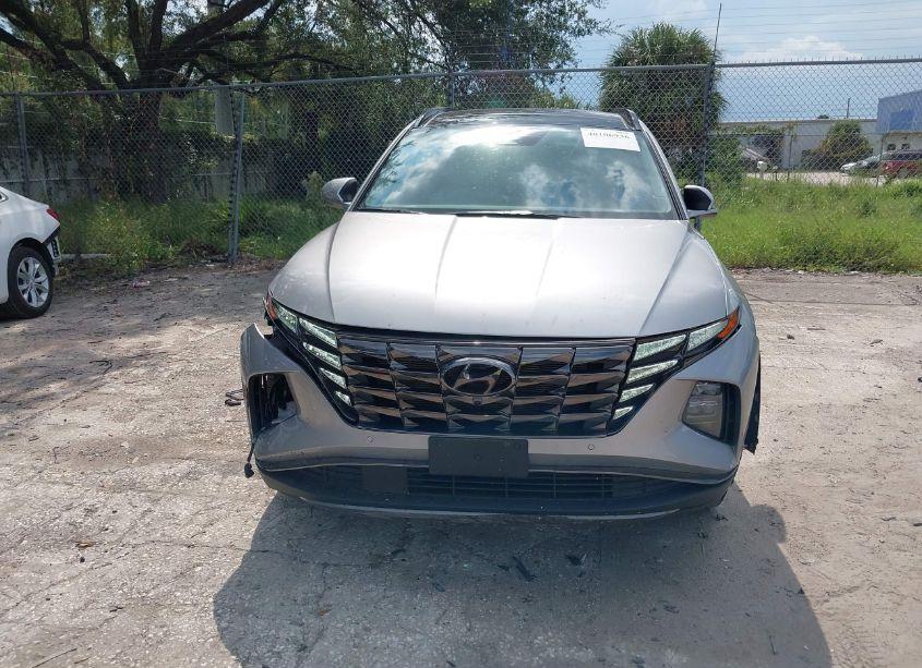 Photo 6 of 2024 Hyundai Tucson LIMITED (VIN 5NMJECDE9RH298235)