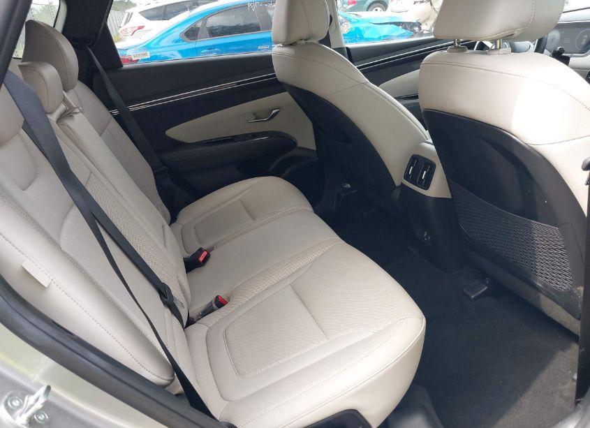 Photo 8 of 2024 Hyundai Tucson LIMITED (VIN 5NMJECDE9RH298235)