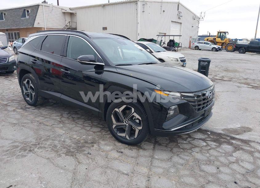 2024 Hyundai Tucson LIMITED (VIN 5NMJECDE9RH312635) main photo