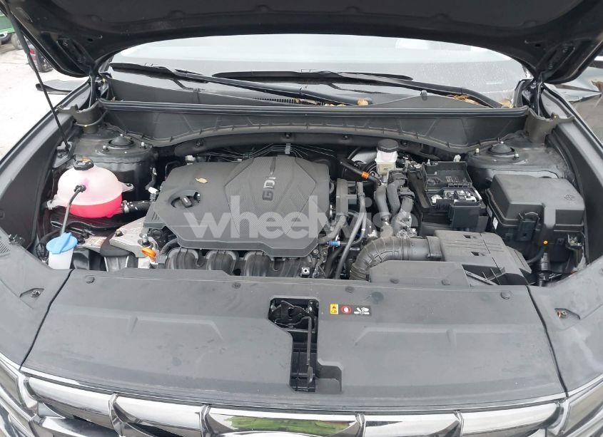 Photo 10 of 2024 Hyundai Tucson LIMITED (VIN 5NMJECDE9RH312635)