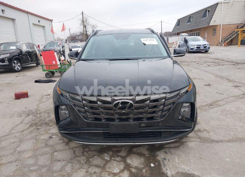 Photo 12 of 2024 Hyundai Tucson LIMITED (VIN 5NMJECDE9RH312635)