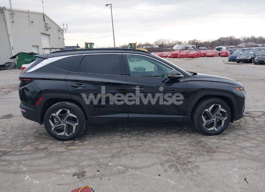 Photo 13 of 2024 Hyundai Tucson LIMITED (VIN 5NMJECDE9RH312635)