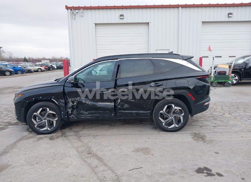 Photo 14 of 2024 Hyundai Tucson LIMITED (VIN 5NMJECDE9RH312635)