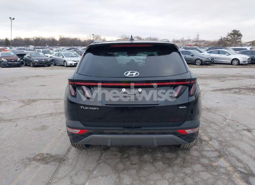 Photo 16 of 2024 Hyundai Tucson LIMITED (VIN 5NMJECDE9RH312635)