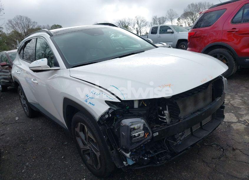 2024 Hyundai Tucson LIMITED (VIN 5NMJECDEXRH349726) main photo