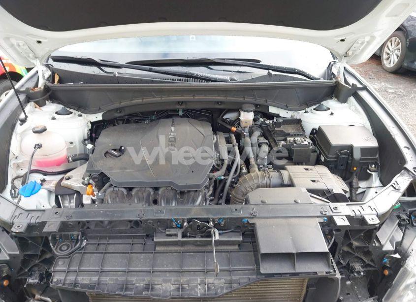 Photo 10 of 2024 Hyundai Tucson LIMITED (VIN 5NMJECDEXRH349726)