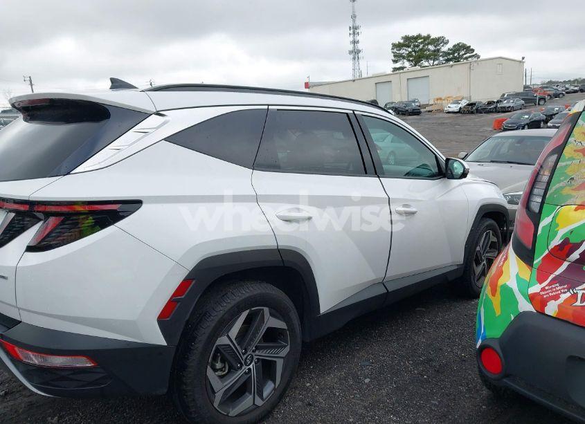 Photo 13 of 2024 Hyundai Tucson LIMITED (VIN 5NMJECDEXRH349726)