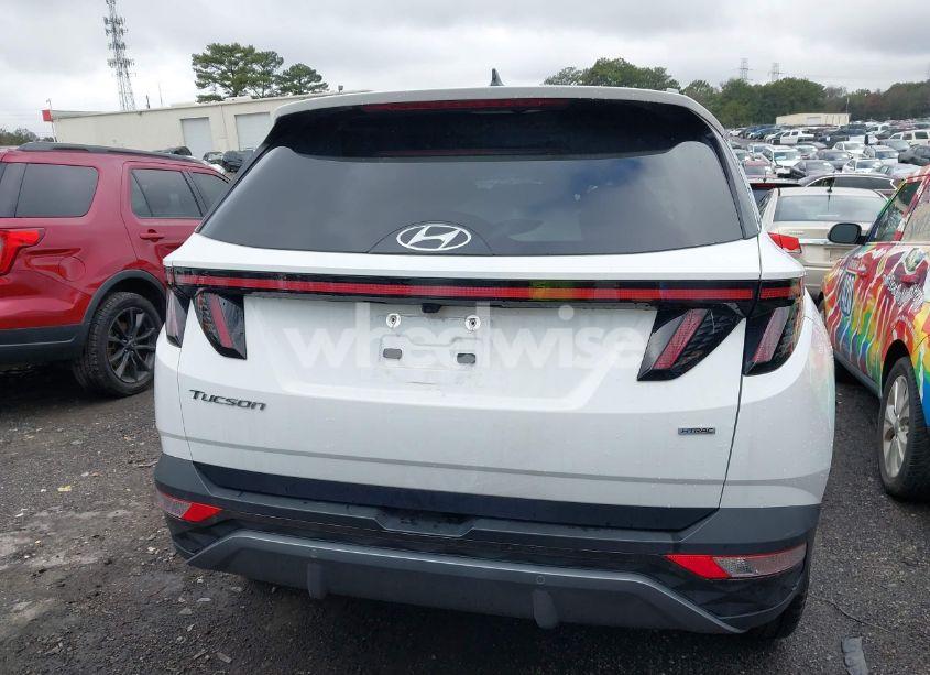 Photo 16 of 2024 Hyundai Tucson LIMITED (VIN 5NMJECDEXRH349726)