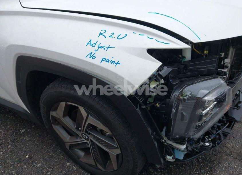 Photo 19 of 2024 Hyundai Tucson LIMITED (VIN 5NMJECDEXRH349726)