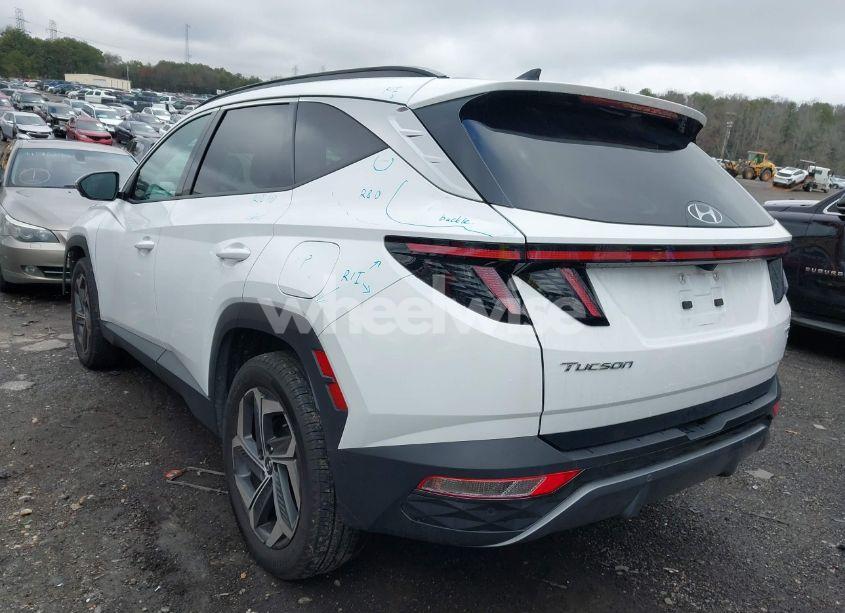 Photo 3 of 2024 Hyundai Tucson LIMITED (VIN 5NMJECDEXRH349726)