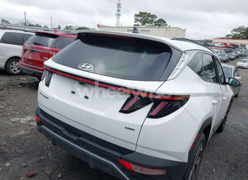 Photo 4 of 2024 Hyundai Tucson LIMITED (VIN 5NMJECDEXRH349726)