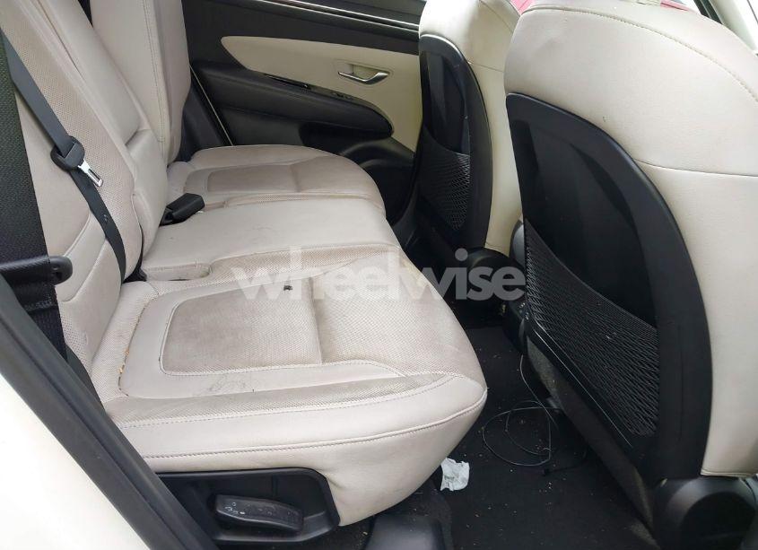 Photo 8 of 2024 Hyundai Tucson LIMITED (VIN 5NMJECDEXRH349726)