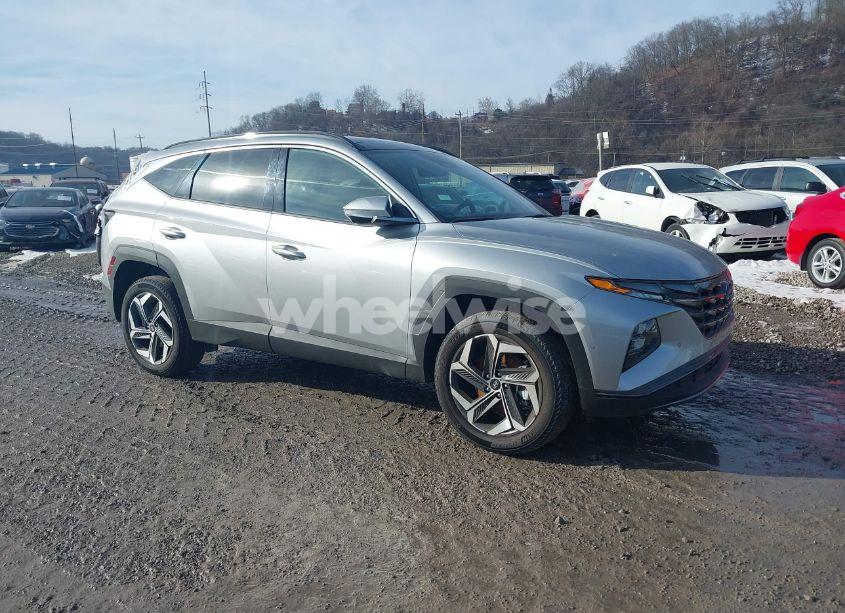 2024 Hyundai Tucson LIMITED (VIN 5NMJECDEXRH397632) main photo