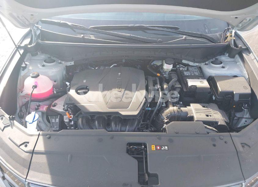 Photo 10 of 2024 Hyundai Tucson LIMITED (VIN 5NMJECDEXRH397632)