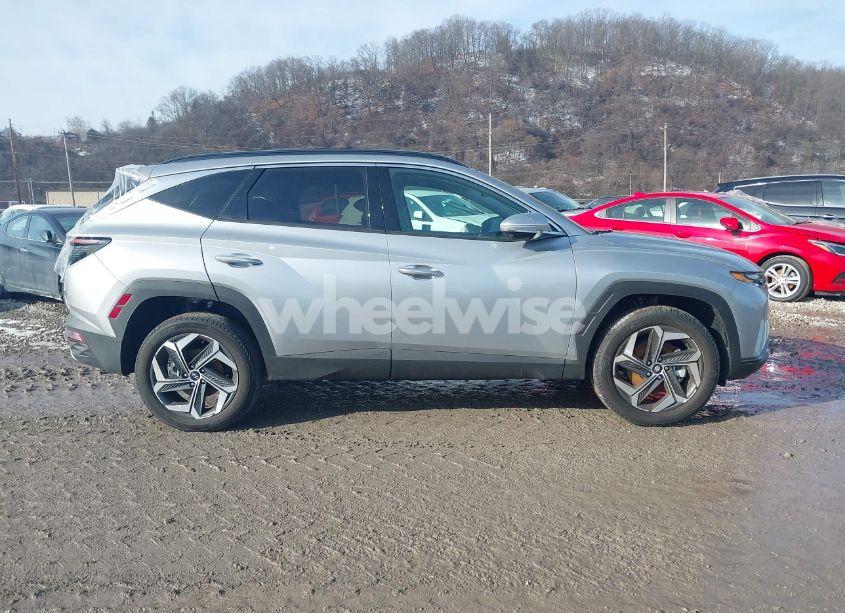 Photo 13 of 2024 Hyundai Tucson LIMITED (VIN 5NMJECDEXRH397632)