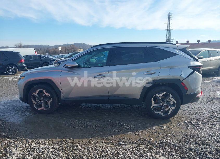 Photo 14 of 2024 Hyundai Tucson LIMITED (VIN 5NMJECDEXRH397632)