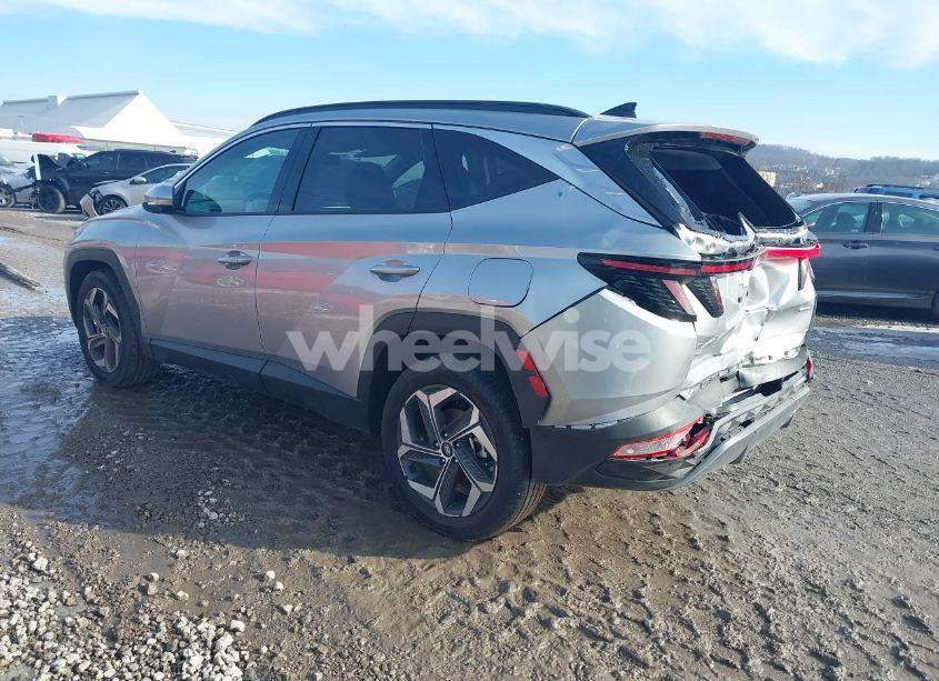 Photo 3 of 2024 Hyundai Tucson LIMITED (VIN 5NMJECDEXRH397632)