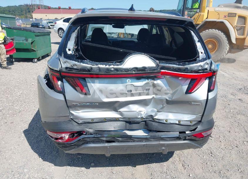 Photo 6 of 2024 Hyundai Tucson LIMITED (VIN 5NMJECDEXRH397632)