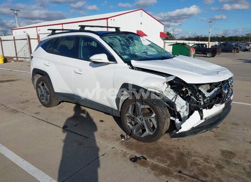 2024 Hyundai Tucson LIMITED (VIN 5NMJECDEXRH437031) main photo