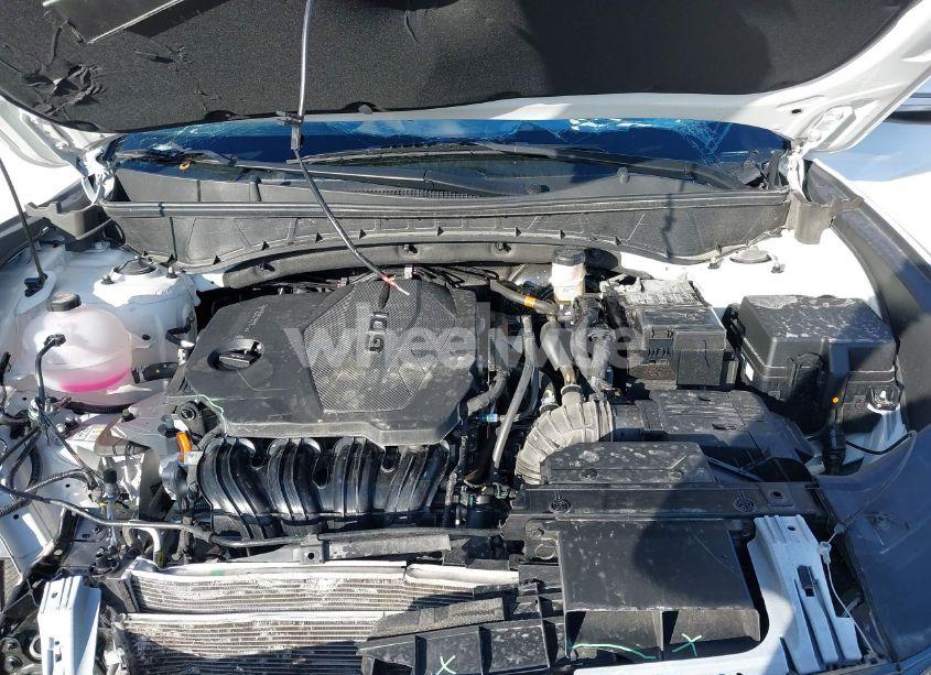 Photo 10 of 2024 Hyundai Tucson LIMITED (VIN 5NMJECDEXRH437031)