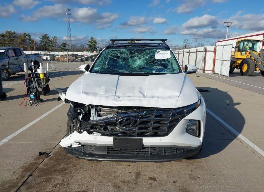 Photo 12 of 2024 Hyundai Tucson LIMITED (VIN 5NMJECDEXRH437031)