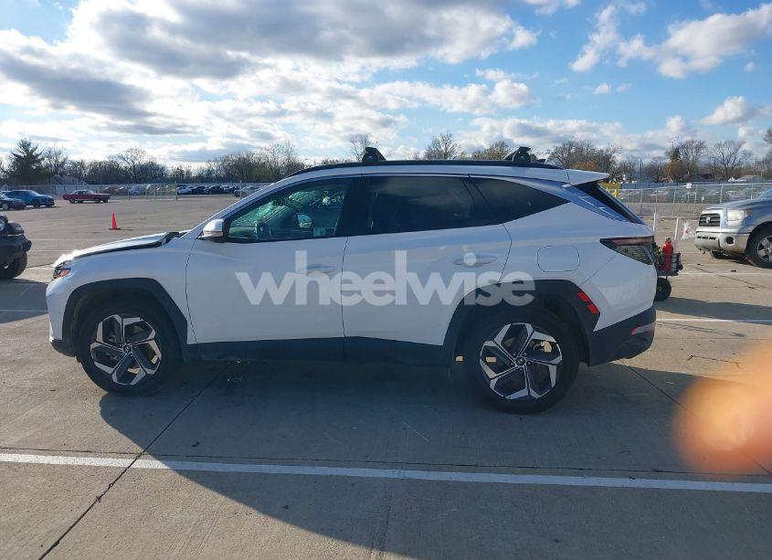 Photo 14 of 2024 Hyundai Tucson LIMITED (VIN 5NMJECDEXRH437031)