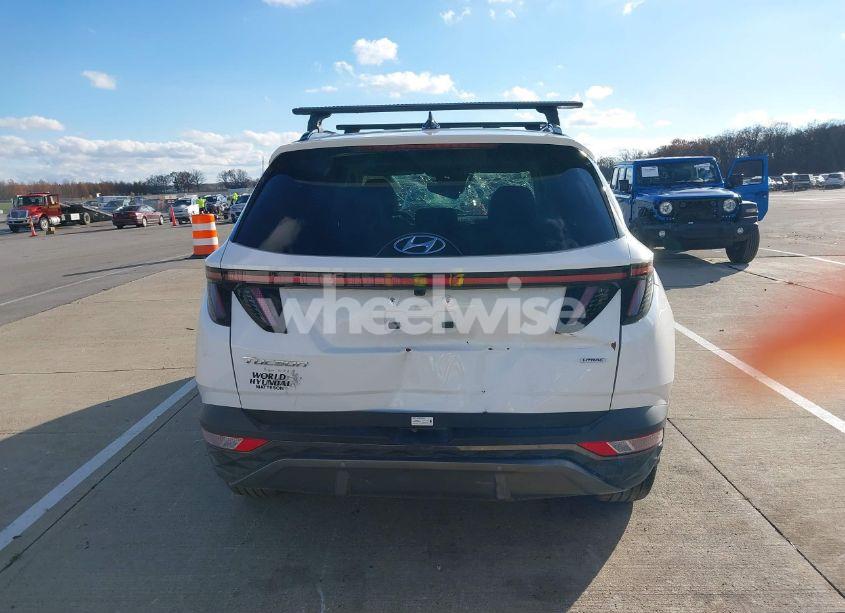 Photo 16 of 2024 Hyundai Tucson LIMITED (VIN 5NMJECDEXRH437031)