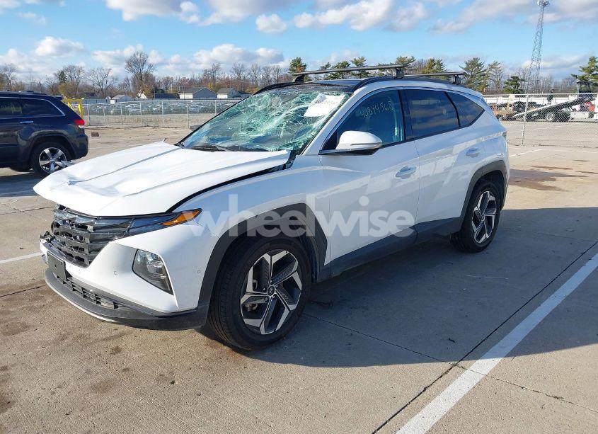 Photo 2 of 2024 Hyundai Tucson LIMITED (VIN 5NMJECDEXRH437031)