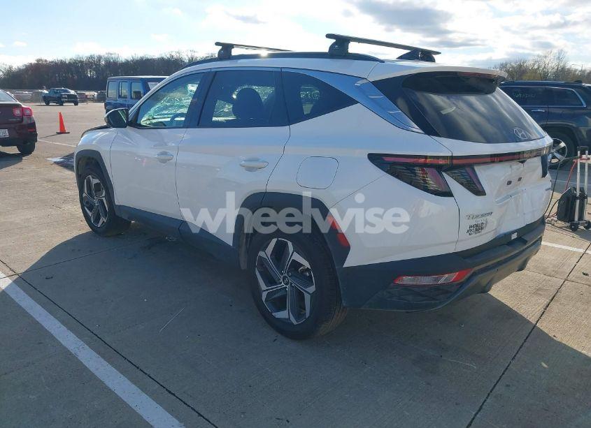 Photo 3 of 2024 Hyundai Tucson LIMITED (VIN 5NMJECDEXRH437031)
