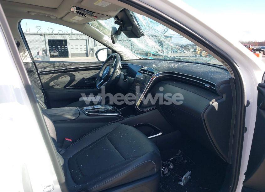 Photo 5 of 2024 Hyundai Tucson LIMITED (VIN 5NMJECDEXRH437031)