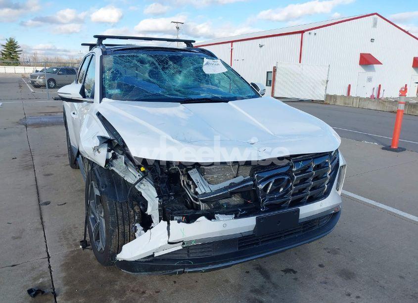 Photo 6 of 2024 Hyundai Tucson LIMITED (VIN 5NMJECDEXRH437031)