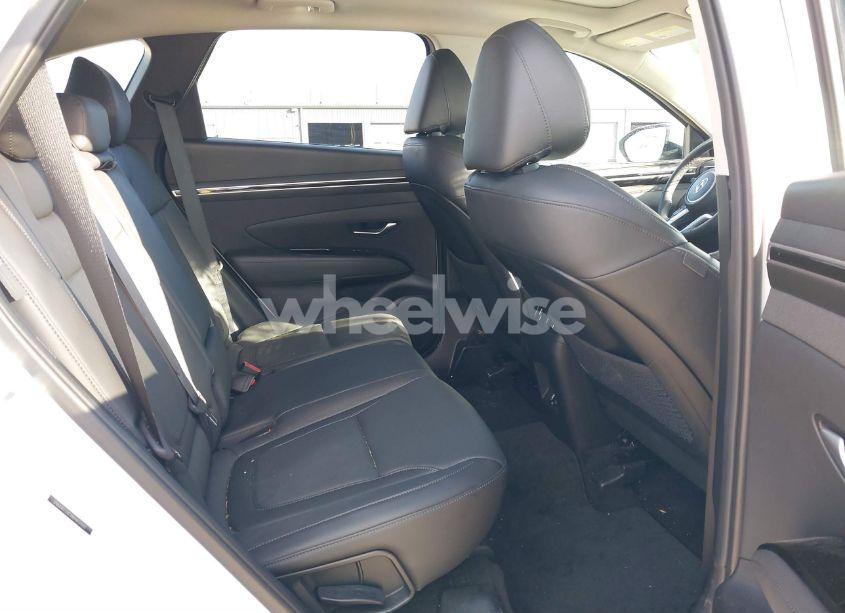 Photo 8 of 2024 Hyundai Tucson LIMITED (VIN 5NMJECDEXRH437031)
