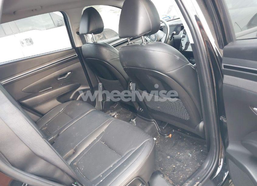 Photo 8 of 2023 Hyundai Tucson SEL (VIN 5NMJF3AE0PH234423)