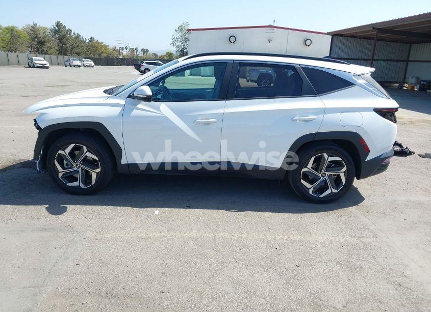 Photo 15 of 2023 Hyundai Tucson SEL (VIN 5NMJF3AE1PH187998)