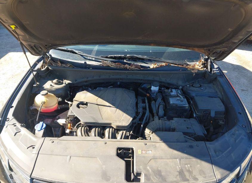 Photo 10 of 2022 Hyundai Tucson SEL (VIN 5NMJF3AE2NH129427)