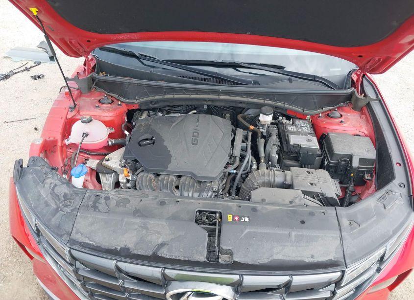 Photo 10 of 2023 Hyundai Tucson SEL (VIN 5NMJF3AE2PH210284)