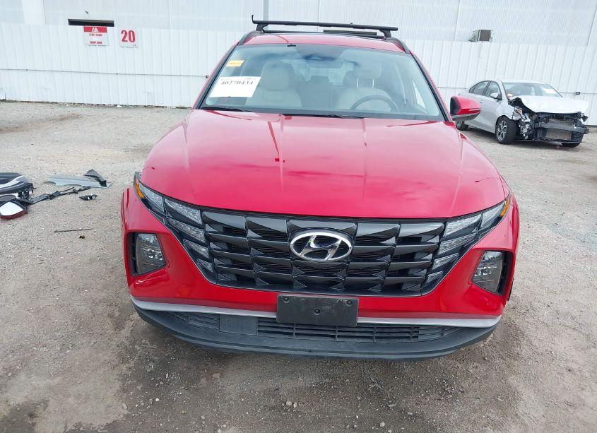 Photo 13 of 2023 Hyundai Tucson SEL (VIN 5NMJF3AE2PH210284)