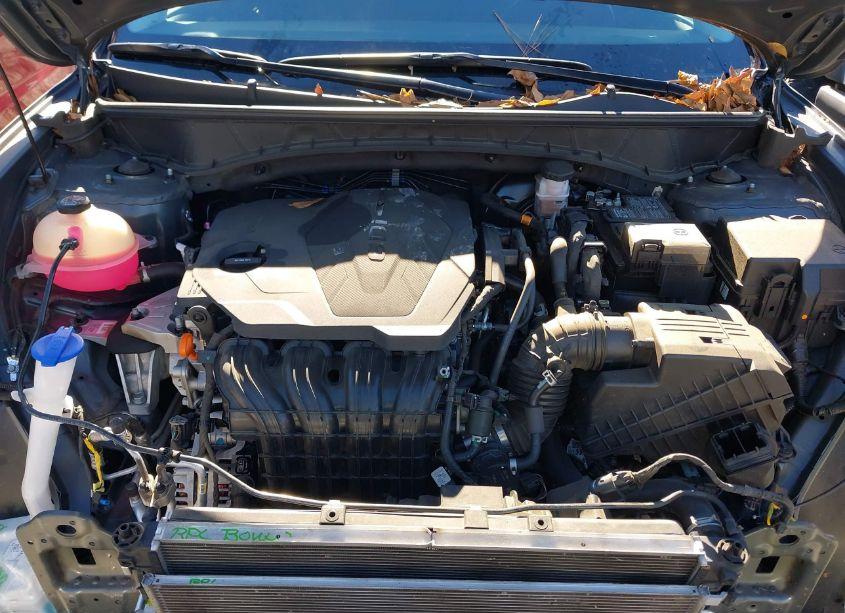 Photo 10 of 2022 Hyundai Tucson SEL (VIN 5NMJF3AE4NH097841)