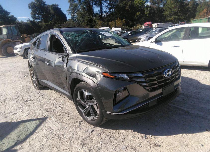 2023 Hyundai Tucson SEL (VIN 5NMJF3AE4PH250494) main photo