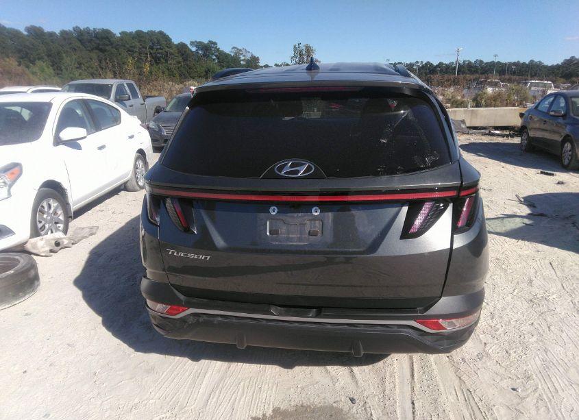 Photo 16 of 2023 Hyundai Tucson SEL (VIN 5NMJF3AE4PH250494)