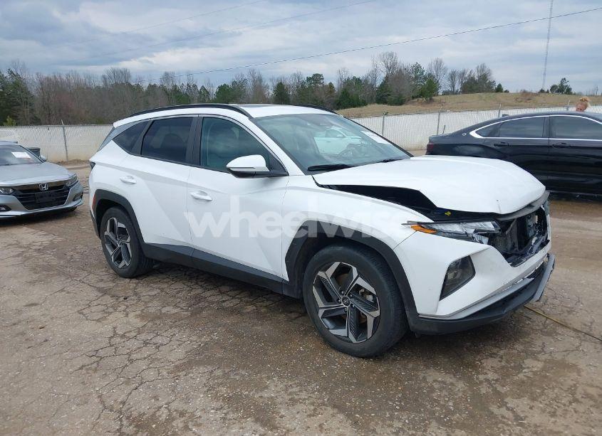 2023 Hyundai Tucson SEL (VIN 5NMJF3AE4PH257882) main photo