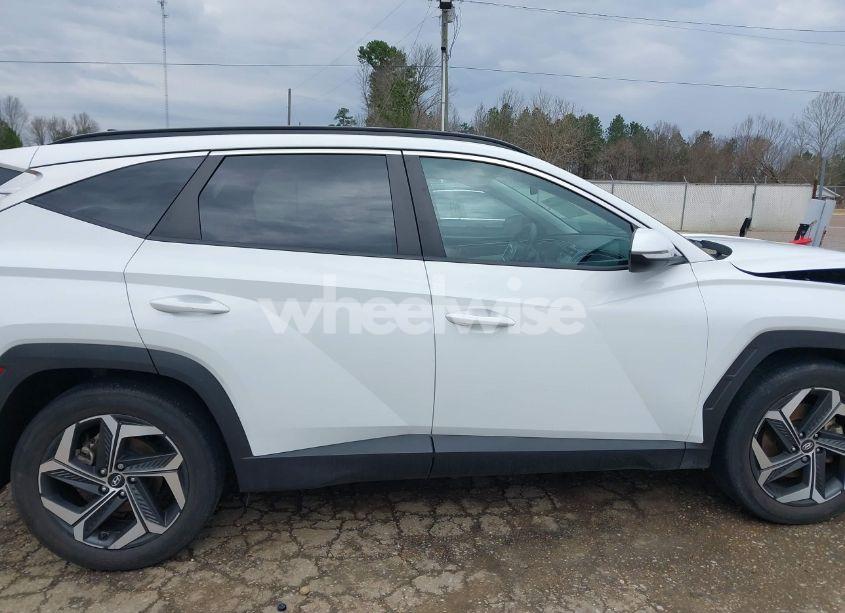 Photo 14 of 2023 Hyundai Tucson SEL (VIN 5NMJF3AE4PH257882)